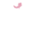 Axolotl Lover Gifts