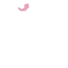 Axolotl Lover Gifts