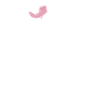 Axolotl Lover Gifts