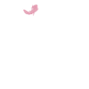 Axolotl Lover Gifts