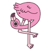 Grappige flamingo die naar zijn kont kijkt