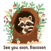 See you soon, Racoon