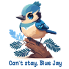 Can't stay, Blue Jay