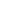 The Original