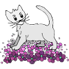 Chats