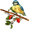 Bunter Vogel