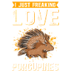 Porcupine Porcupines Gift