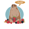 Groundhog Munggen Mankai Groundhog Gift