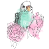 Budgerigars and peonies