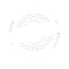 Harmoniciste I Destroy Silence