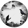 Gothic, crows, ravens