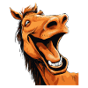 Laughing Horse Funny Funny Humor Crazy Ugly