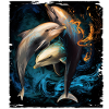 Dolphin Flag