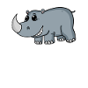 Rhinos Rhinoceros