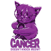Cancer doesn't defeat pancreatic cancer