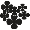 fleurs noires