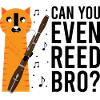 Orchestra and woodwind instrument