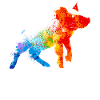 Pig Splash Art Animal Lover