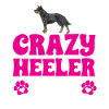Bouvier australien Red Blue Heeler