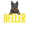 Bouvier australien Red Blue Heeler