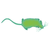 Bio Mouse