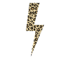 Leopard Lightning Big Cat Africa