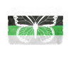Demiromantic Pride Flag Butterfly Sublte
