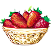 Erdbeeren Erdbeere Korb Erdbeerfeld
