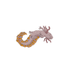 Axolotl Liebhaber Geschenke