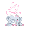 Big Cousin