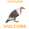 Vulture