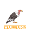 Vulture