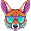 Kho le coyote