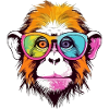 Elvi the bespectacled monkey