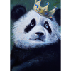 Panda with Crown Oil Painting