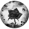 black rose goth gothic