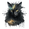 Black cat in space design