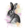 Rabbit Rabbit