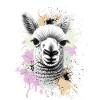 Alpaca