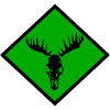 Elch-Schädel