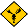 Moose Skull