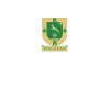 Mexican Mexico Yucatan Flag