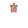 Mexican Mexico Oaxaca Flag