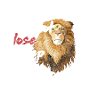 Lion Safari Predator Hunter