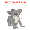 Koala Koalas Koalabär Koalabären Geschenk