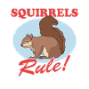 Süßes Eichhörnchen Hörnchen Grauhörnchen Geschenk