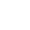 Fake