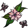 Flowers and Butterflies