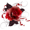 wunderschöne rote Rose mit zarten Bändern