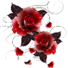 two beautiful fascinating red roses